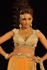 Model walk the ramp for Shane Falguni Show at Amby Valley India Bridal Week day 4 on 26th Sept 2011 (31).JPG